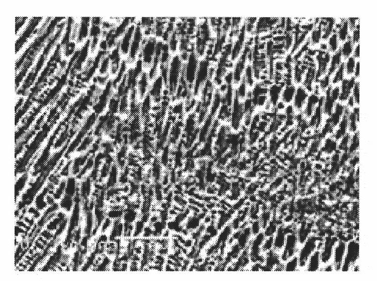 Laser-cladded composite wear-resisting layer on surfaces of copper and copper alloys and preparation method