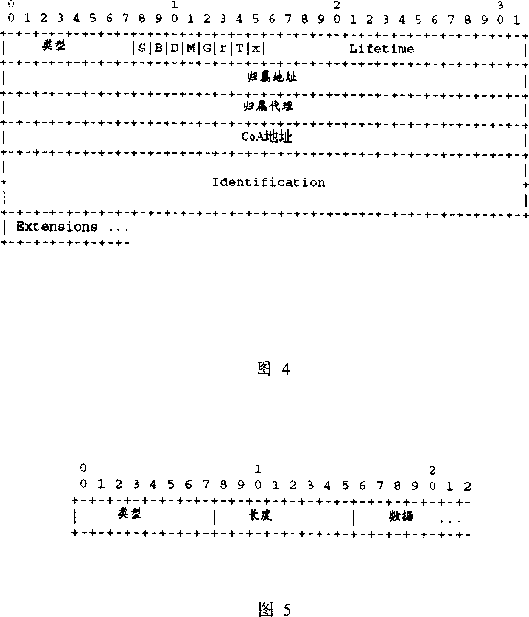 Method, system and mobile terminal for wireless network to capture mobile IP style of mobile terminal