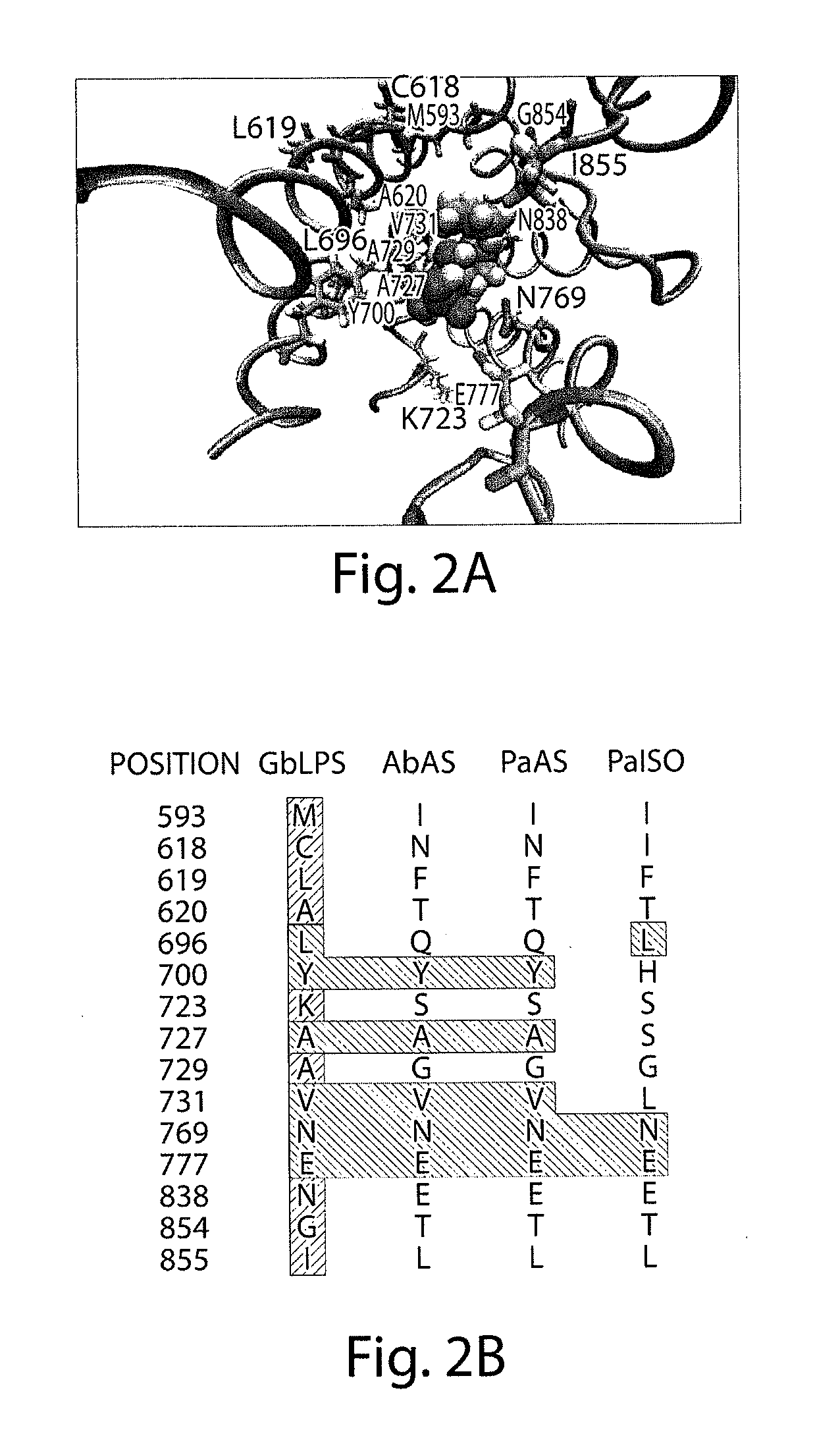 Methods for microbial production of terpenoids