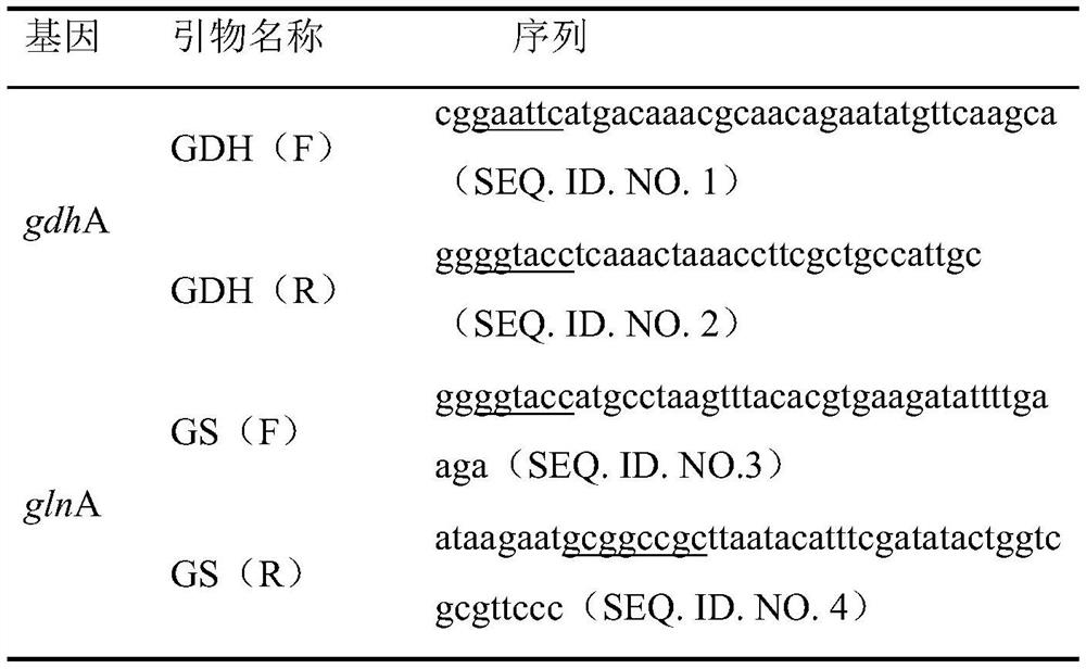 Yeast recombinant bacterium and application thereof in reducing production of ammonia gas in caecum of laying hens