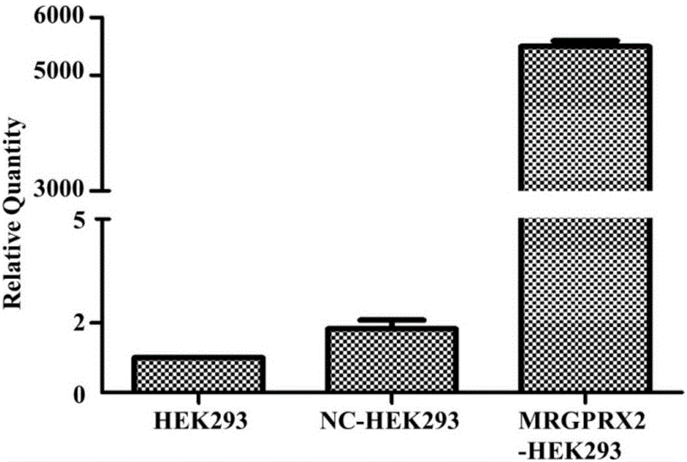 MrgprX2 high-expression reconstituted cell and MrgprX2 high-expression membrane receptor stationary phase and preparation method and application thereof