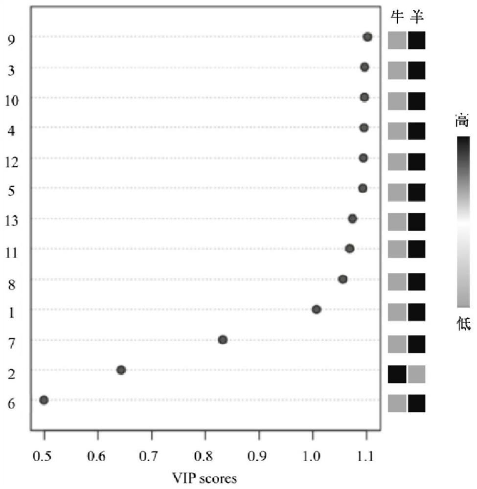 Cow milk and goat milk adulteration identification method based on phosphatidylcholine