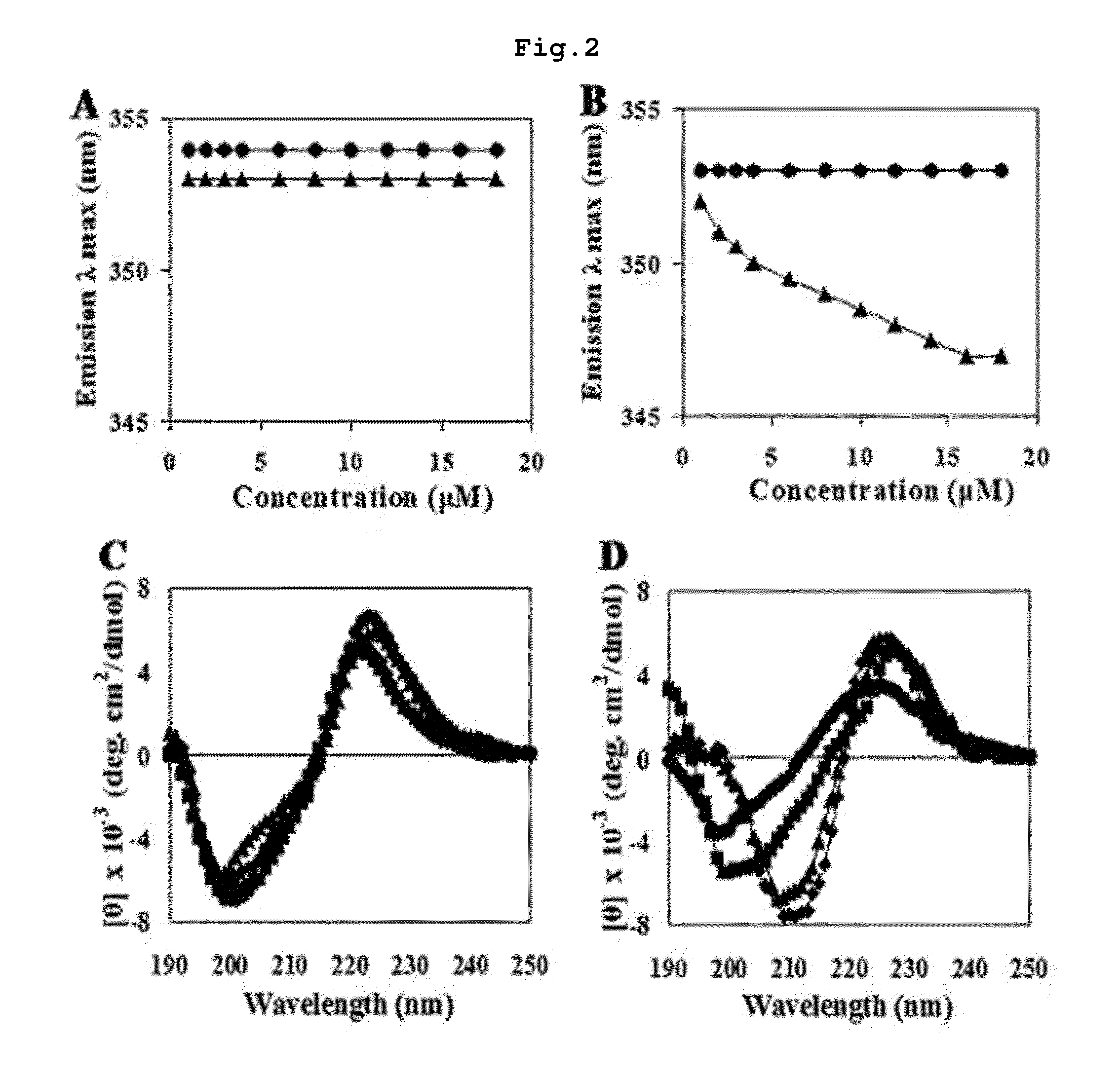 Novel antibacterial and fungicidal peptide in which lysine and tryptophan residues are repeated, and use thereof