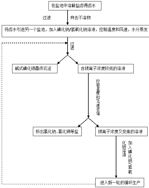 Method for producing alkali magnesium iodide crystal whisker from bittern of dried lake