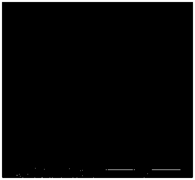 Method for producing alkali magnesium iodide crystal whisker from bittern of dried lake