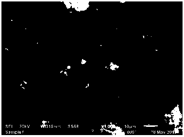 Method for producing alkali magnesium iodide crystal whisker from bittern of dried lake