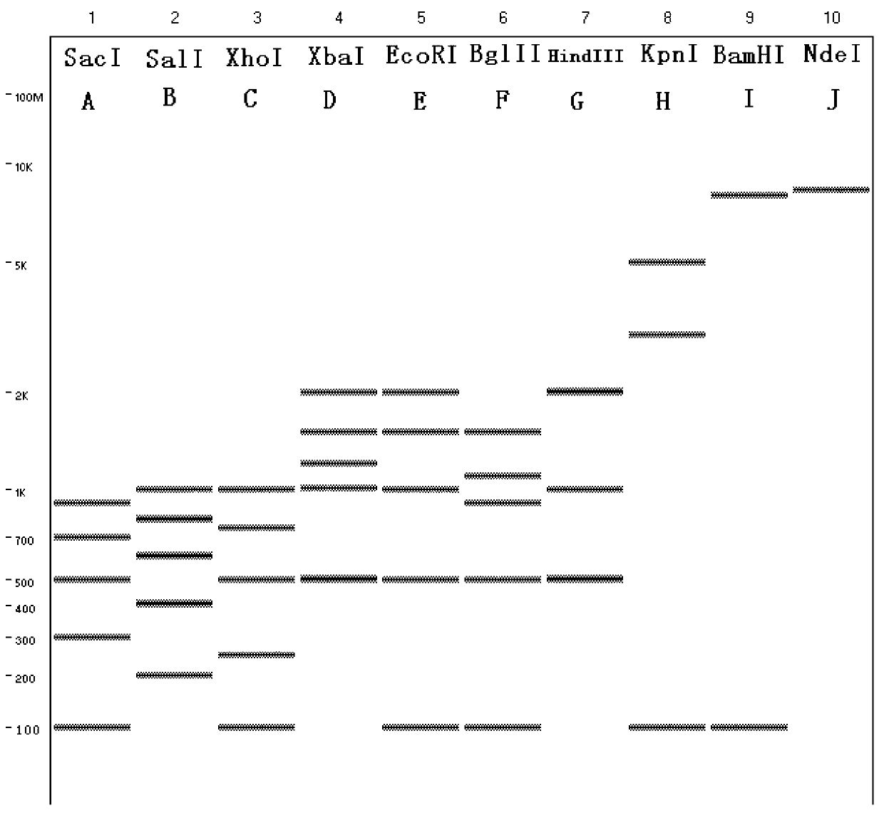 DNA marker plasmid and preparation and application thereof