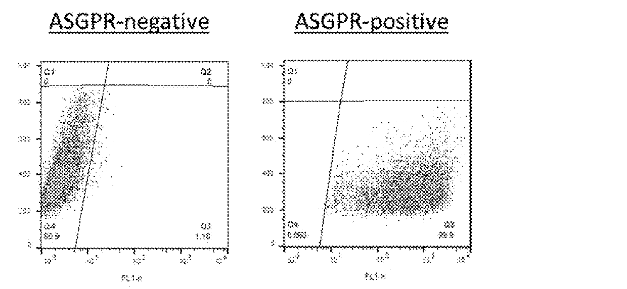 Novel recombinant adeno-associated virus capsids containing a designed ankyrin repeat protein (darpin) or fragment thereof