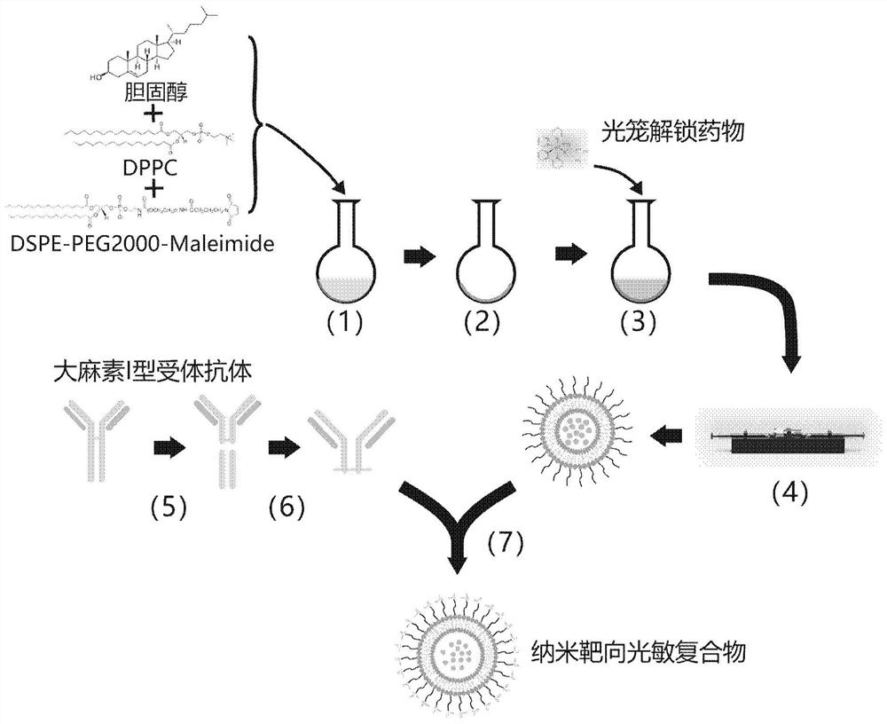 Nano-photosensitive compound targeting epilepsy cells and its regulatory detection system