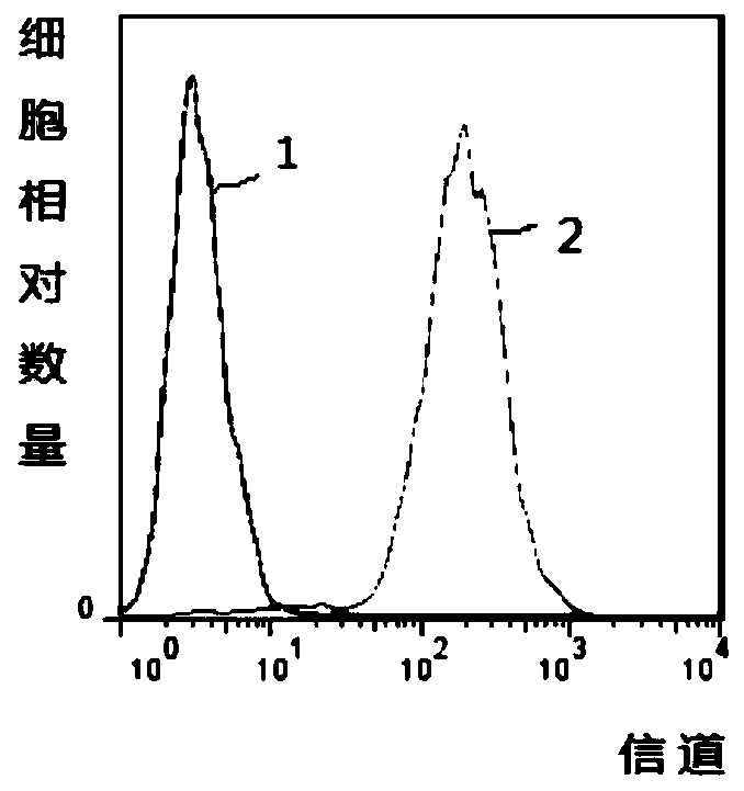 Culture and cryopreservation method of amniotic mesenchymal stem cells