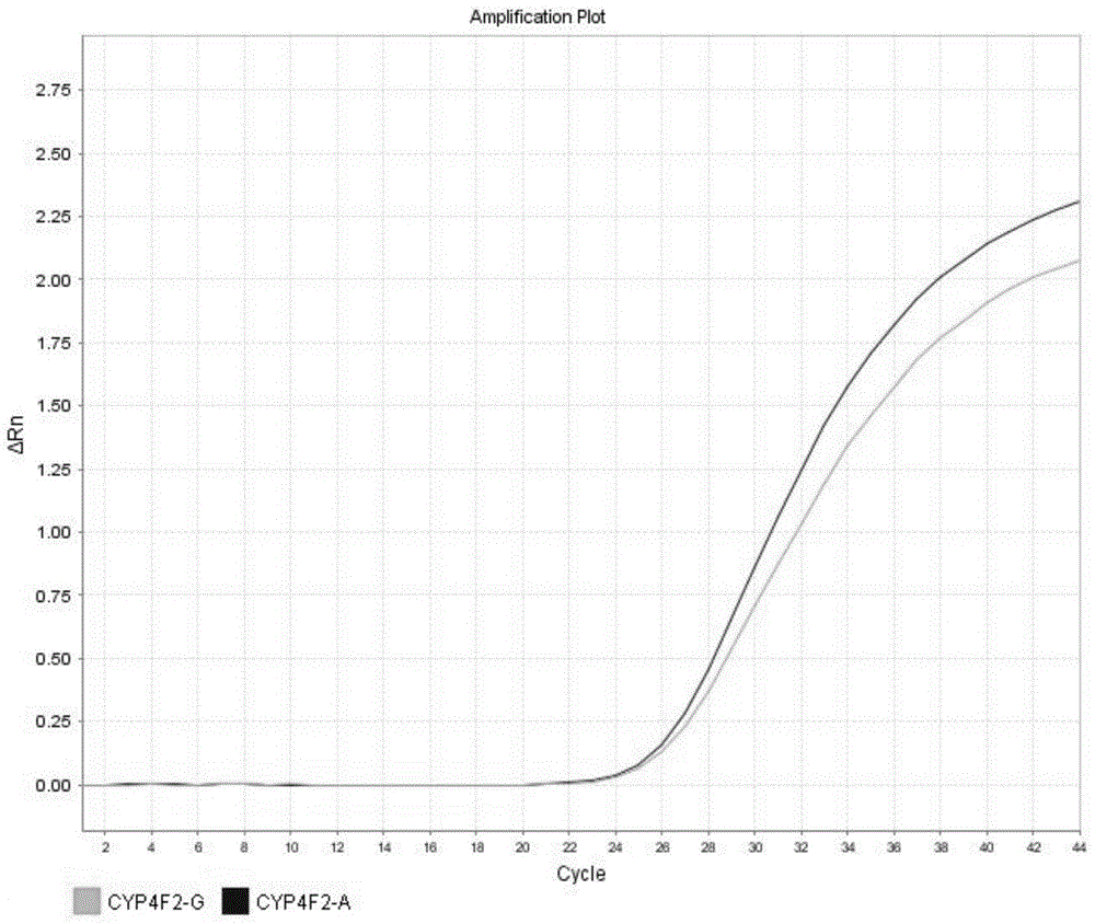 Detection method for CYP4F2 gene polymorphism, as well as nucleic acid probe and kit for method