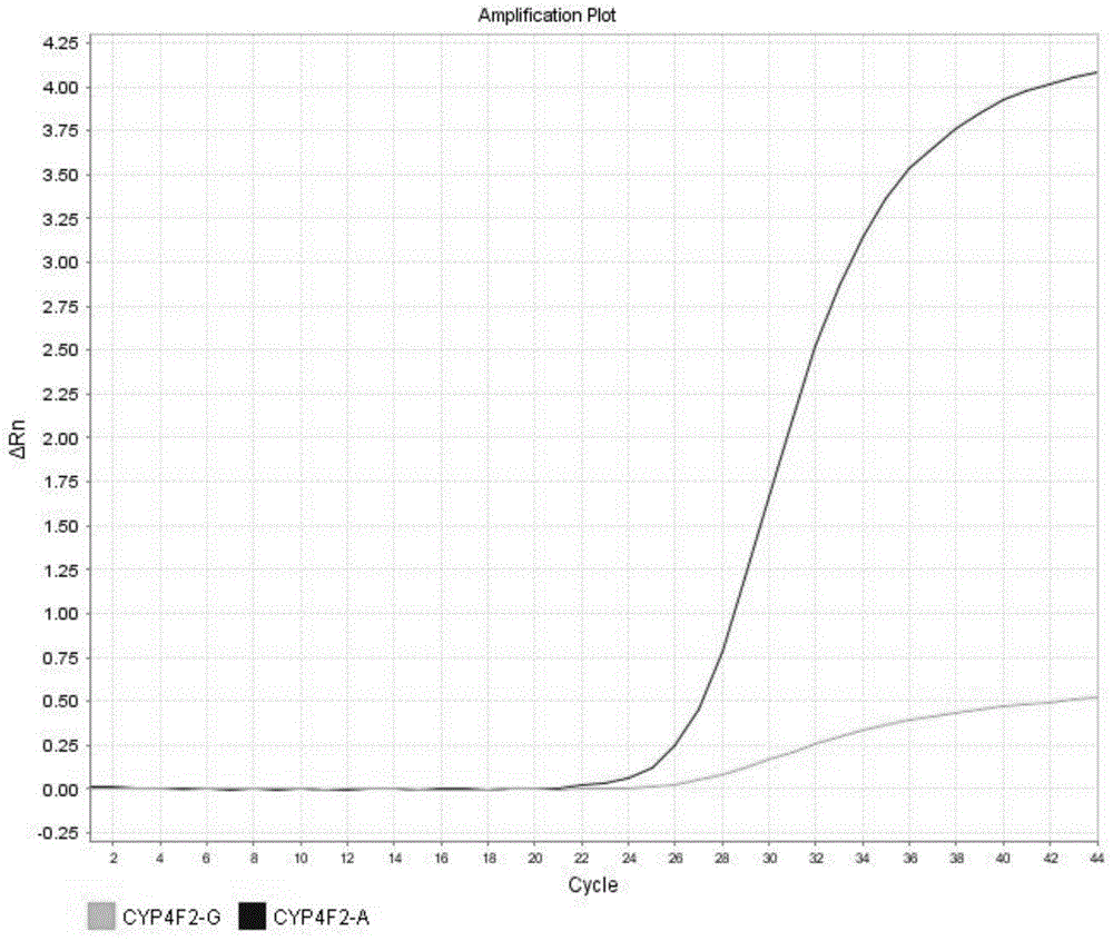 Detection method for CYP4F2 gene polymorphism, as well as nucleic acid probe and kit for method