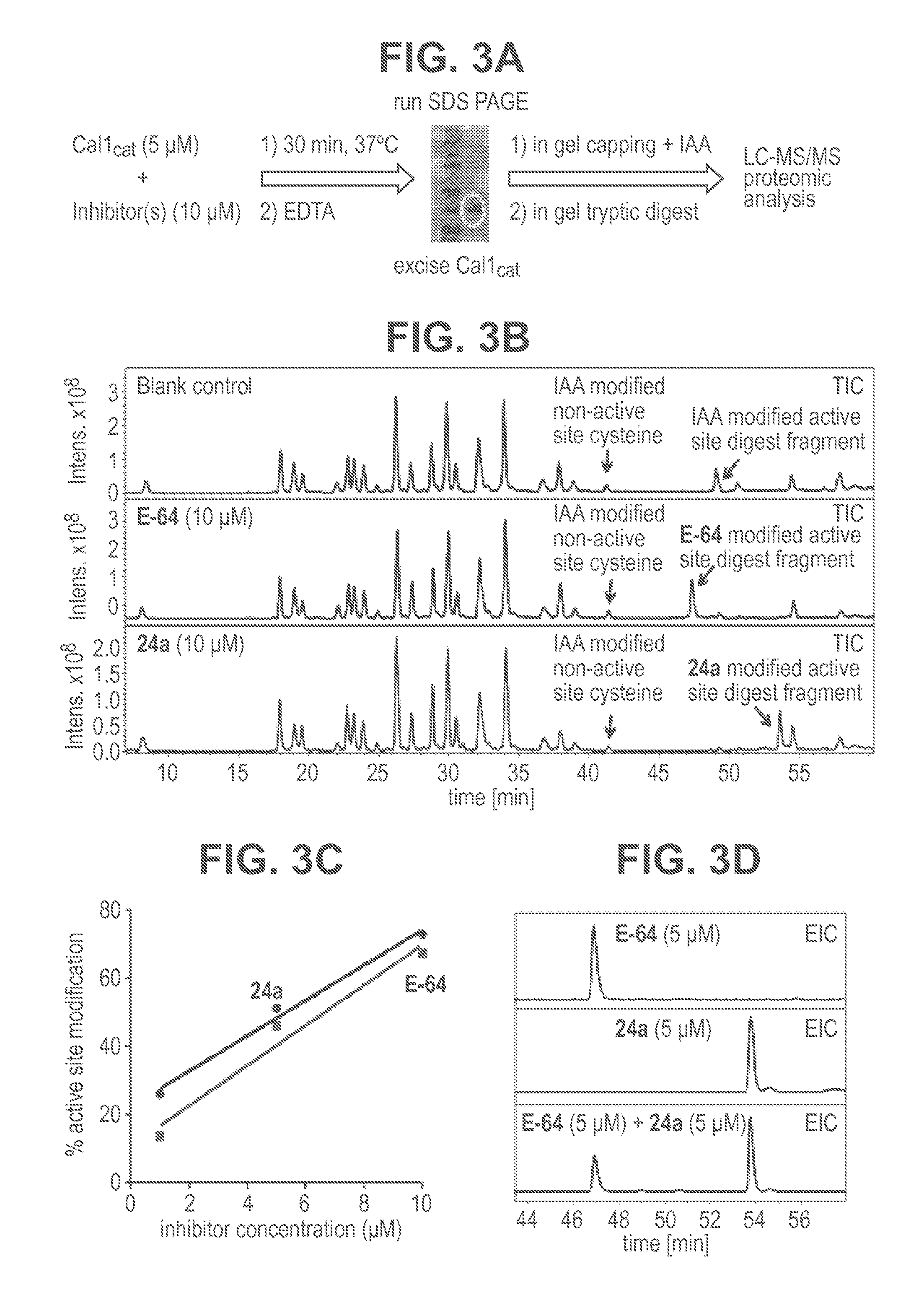 Cysteine protease inhibitors and uses thereof