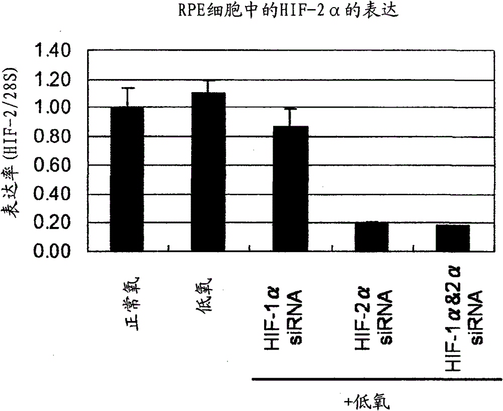 Pharmaceutical containing HIF-1alpha alpha and HIF-2alpha alpha expression inhibitor