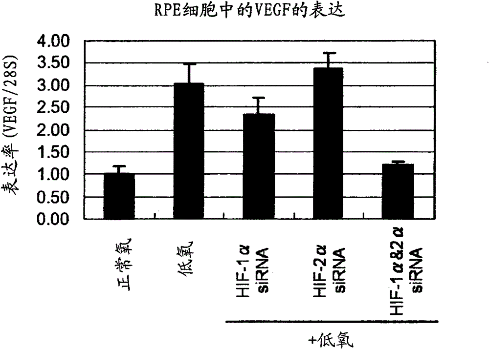 Pharmaceutical containing HIF-1alpha alpha and HIF-2alpha alpha expression inhibitor