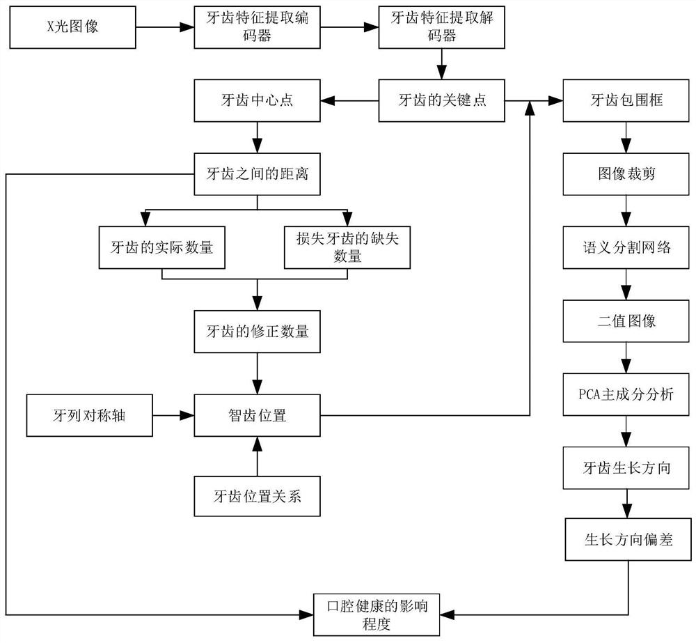 Wisdom tooth detection and evaluation system based on artificial intelligence