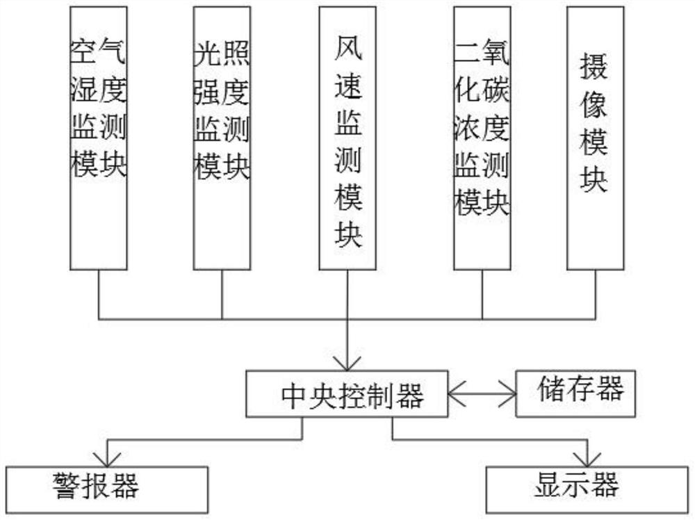 Intelligent real-time monitoring device and monitoring method for dendrobium officinale planting