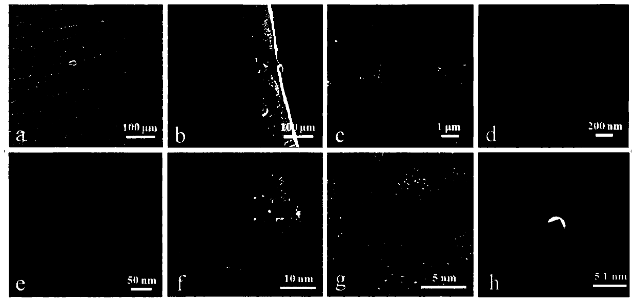 A laser ablation and oxidation in-situ preparation method of an integrated negative electrode of a lithium-ion battery