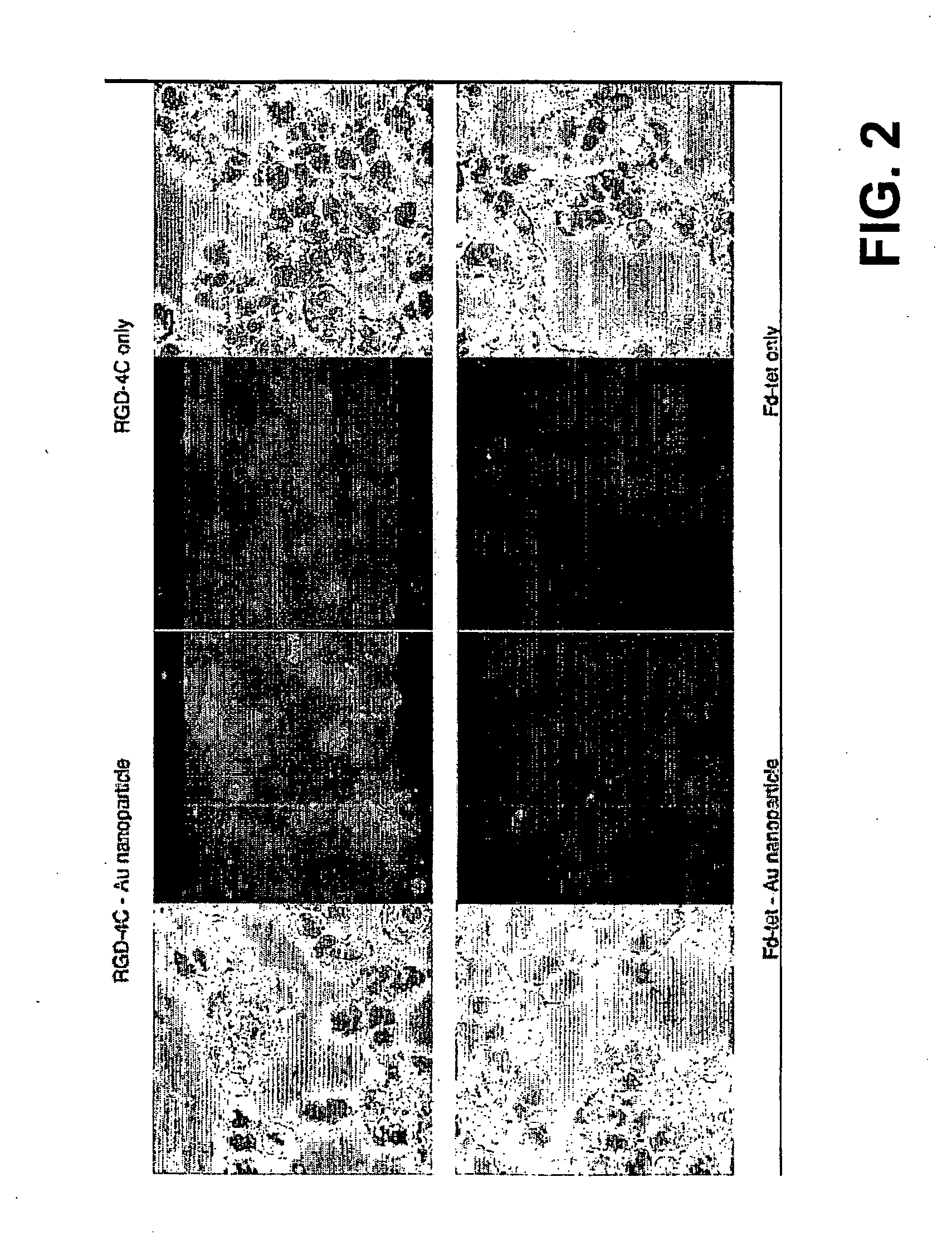Methods and compositions related to phage-nanoparticle assemblies