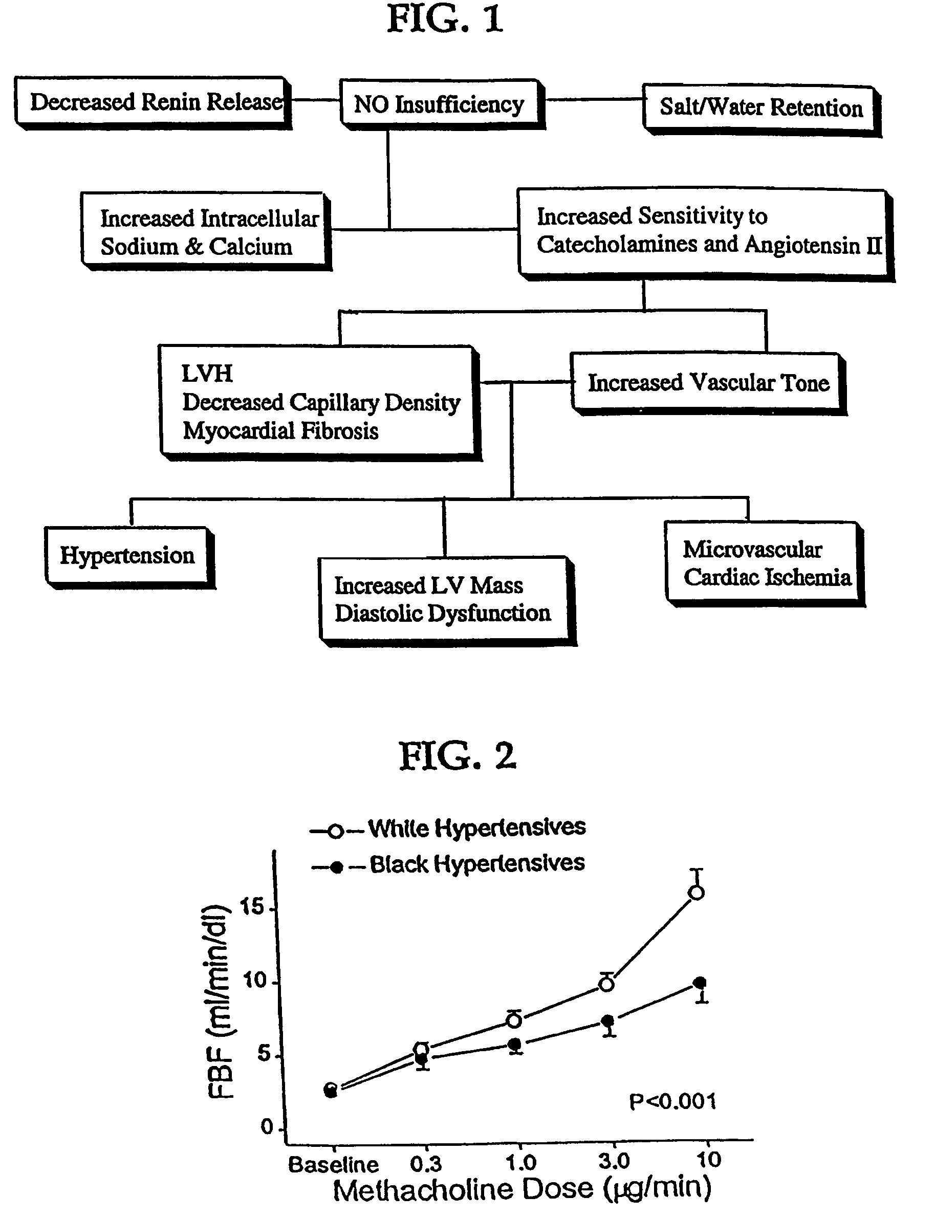 Composition for treating vascular diseases characterized by nitric oxide insufficiency