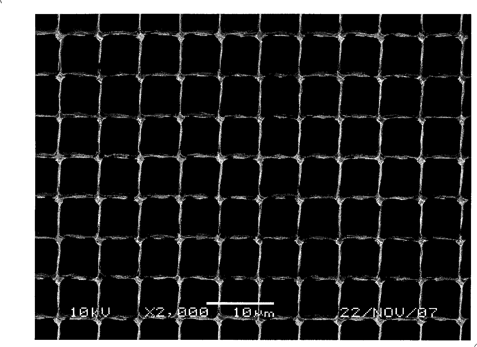 Method of electroless nickel plating on silicon substrate microchannel