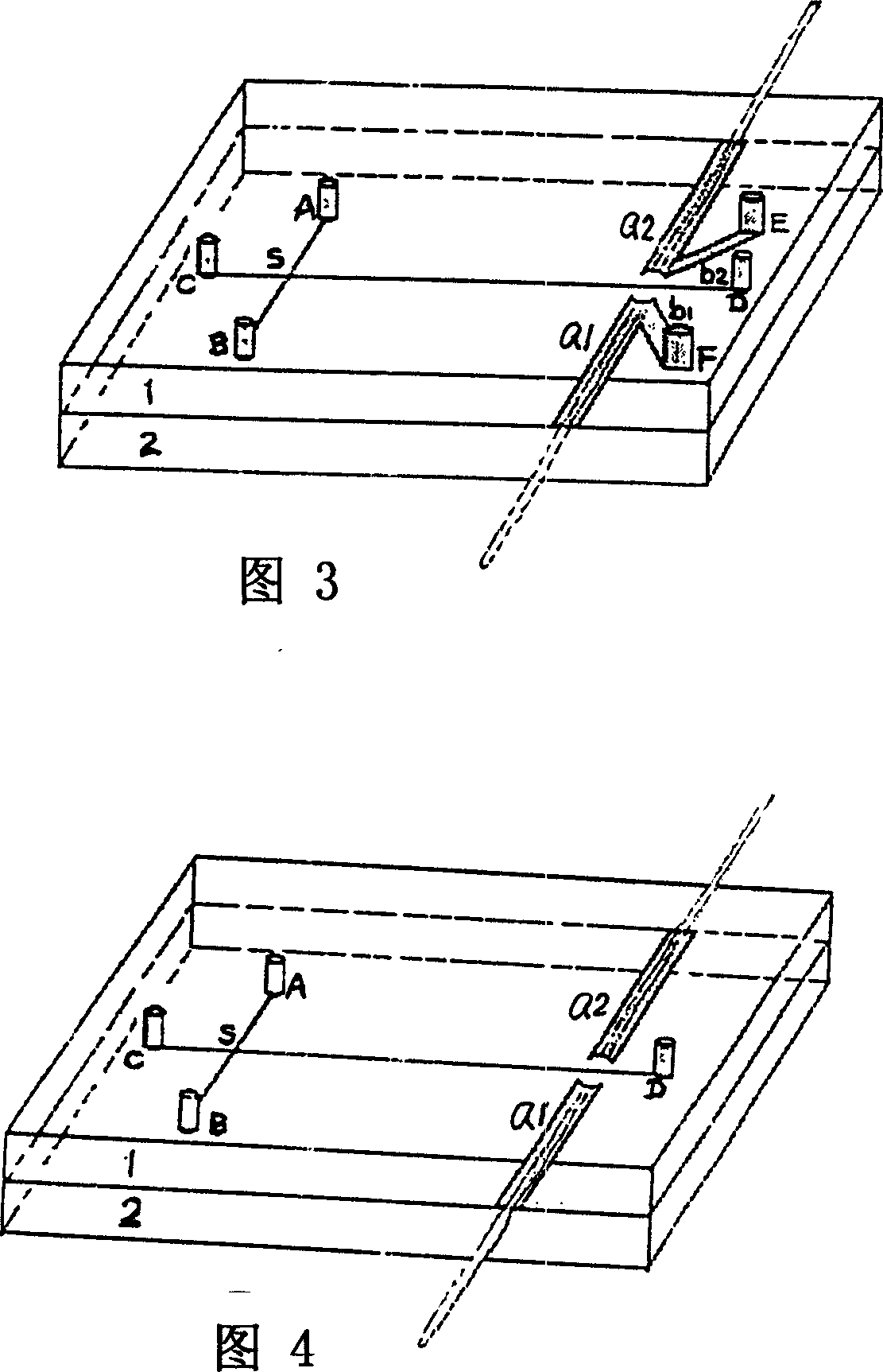 Laser induced fluorescence and light absorption bifunction detecting microflow controlled electrophoresis ehip