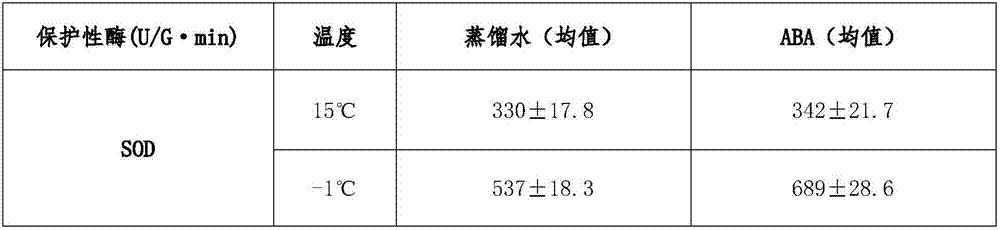 Chinese cabbage cold-resistant seedling growing method under low temperature stress