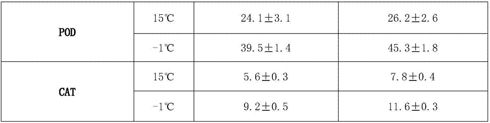 Chinese cabbage cold-resistant seedling growing method under low temperature stress