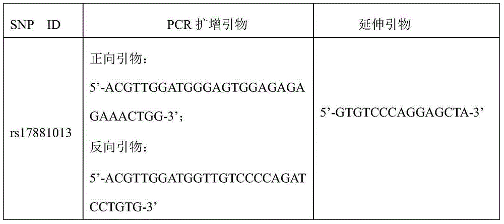 Reagent for detecting SNP sites of P53 genes and application of reagent