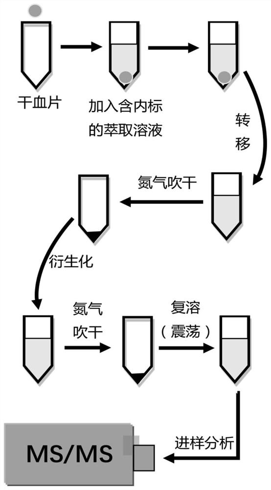 Detection method of neonatal metabolites based on ultra-high performance liquid chromatography tandem mass spectrometry