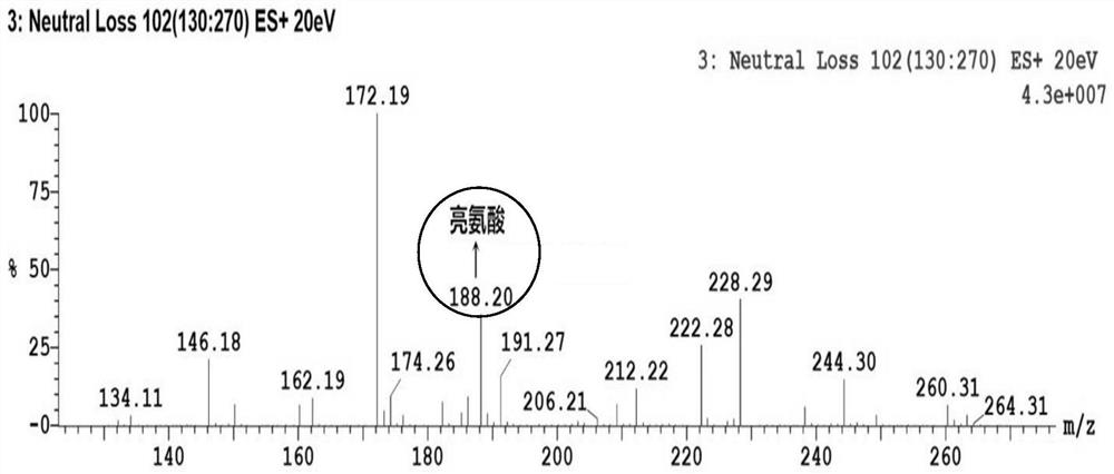 Detection method of neonatal metabolites based on ultra-high performance liquid chromatography tandem mass spectrometry