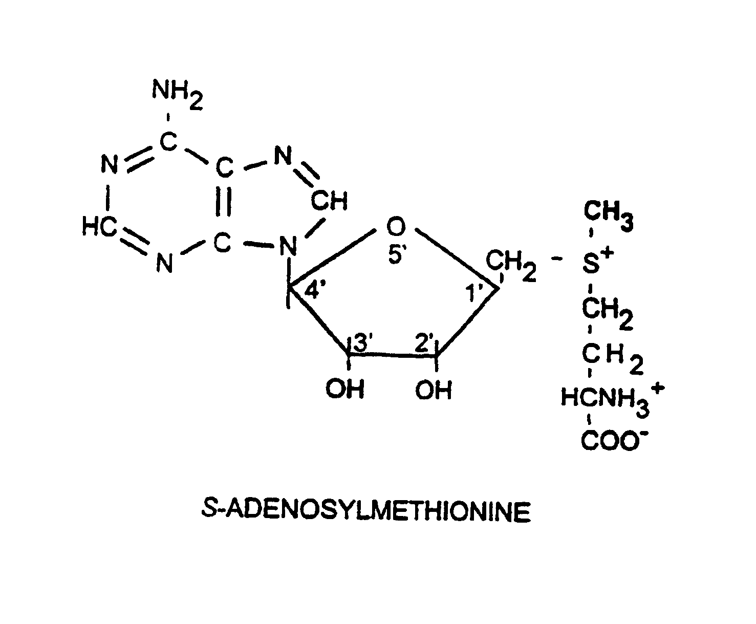 L-ergothioneine, milk thistle, and S-adenosylmethionine for the prevention, treatment and repair of liver damage