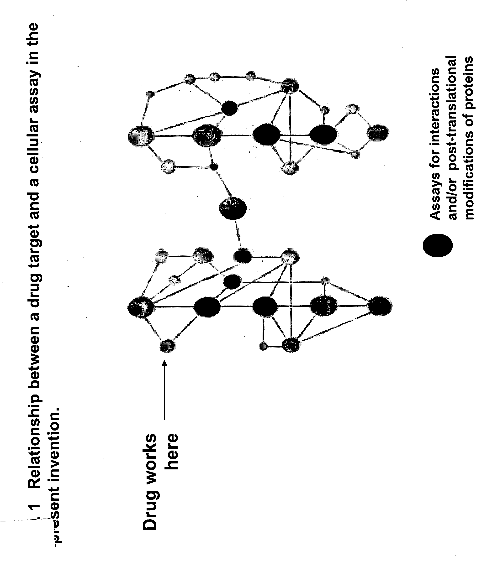 Methods for identifying new drug leads and new therapeutic uses for known drugs