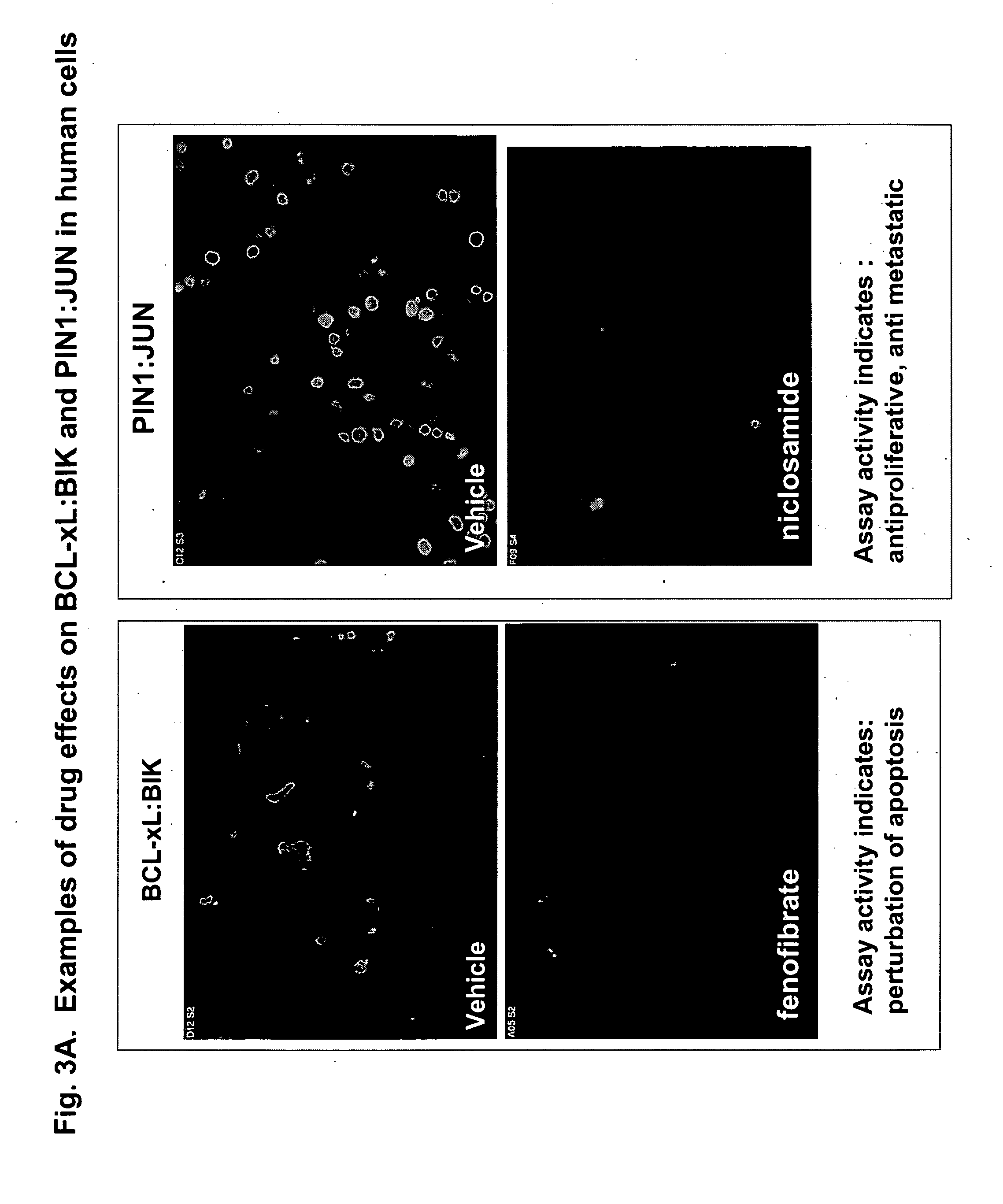 Methods for identifying new drug leads and new therapeutic uses for known drugs