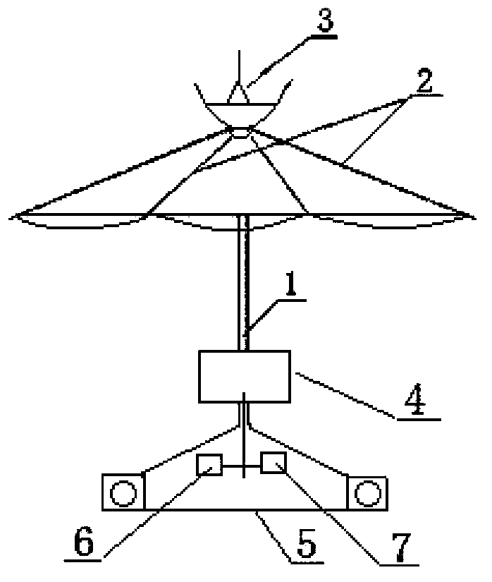 Umbrella-shaped television antenna structure
