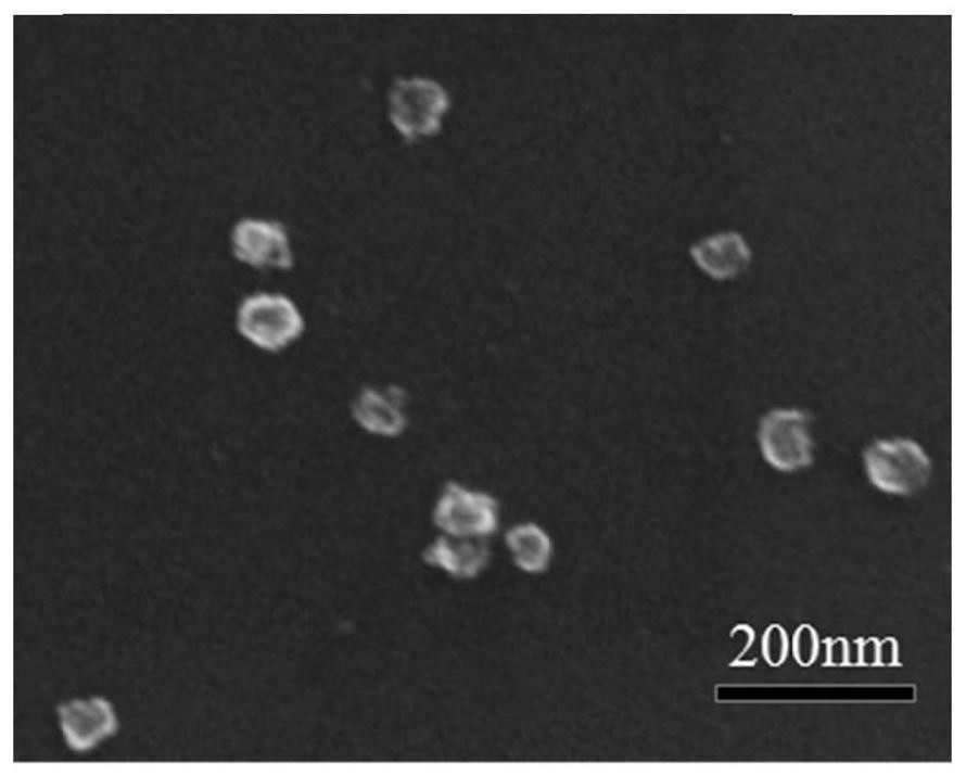 Nanoparticle with core-shell structure, preparation method and application