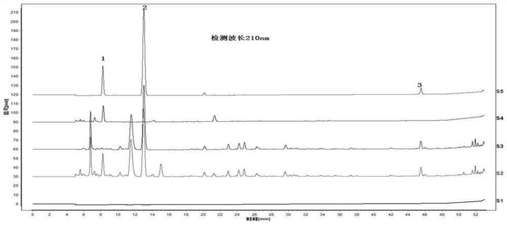 Determination method of chemical components in Chinese herbaceous peony and liquorice decoction and establishment method of fingerprint spectrum
