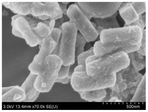 Amorphous cobalt sulfide nanowire and preparation method thereof
