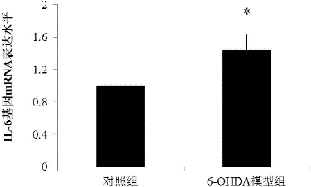 Application of 6-hydroxy dopamine (6-OHDA) to building of depigmentation model and method