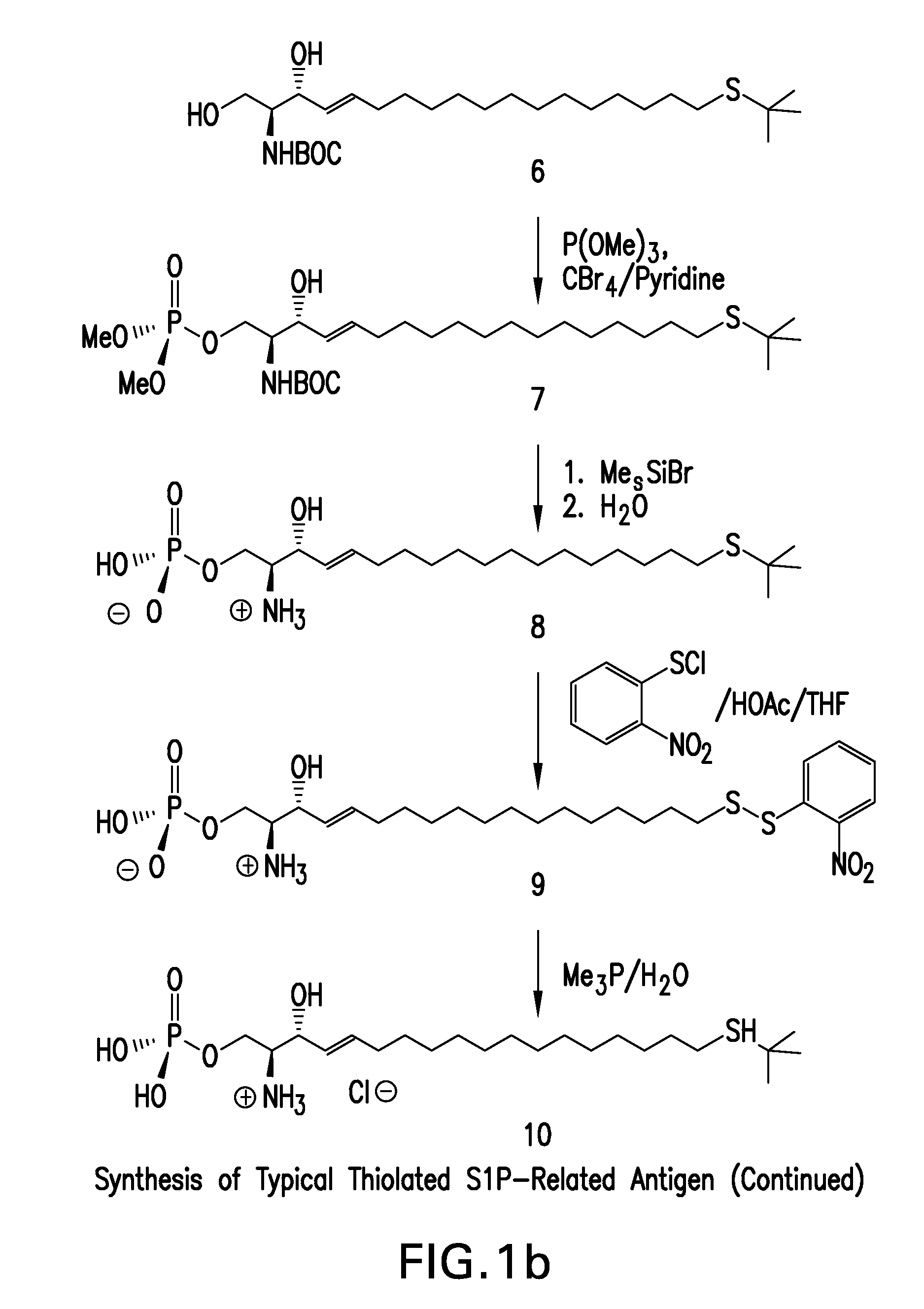 Compositions and Methods for Binding Lysophosphatidic Acid