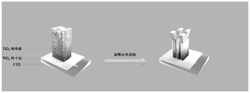 One-dimensional ultra-long tio  <sub>2</sub> Nanorod array and its preparation method and application in dye-sensitized solar cells