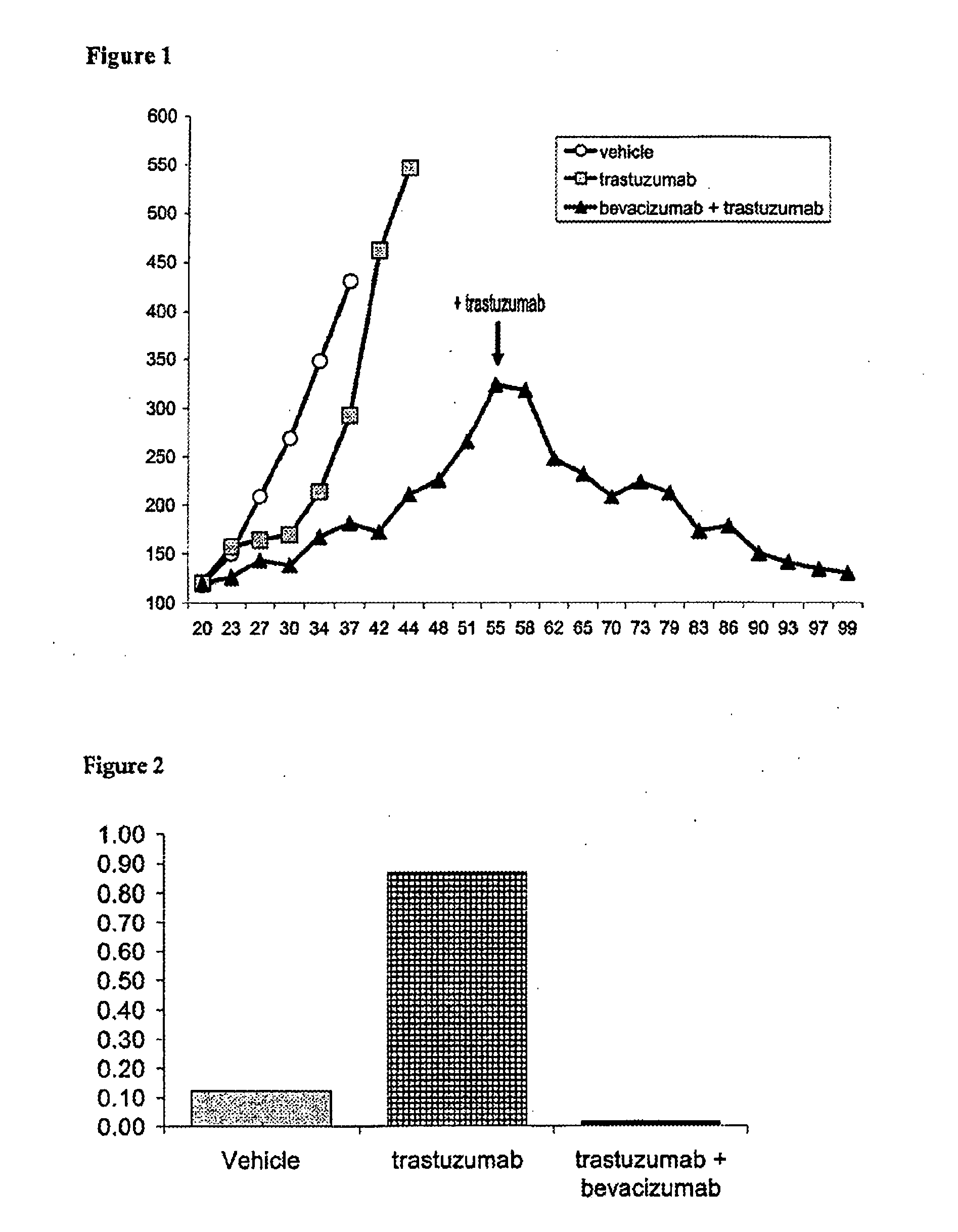 Tumor therapy with an antibody for vascular endothelial growth factor and an antibody for human epithelial growth factor receptor type 2