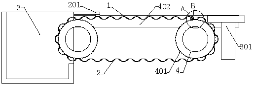 A device for selecting biomass particles