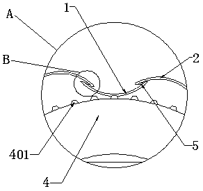 A device for selecting biomass particles