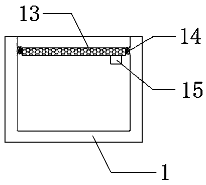 Fruit cleaning and draining device