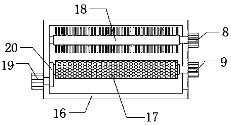 Fruit cleaning and draining device