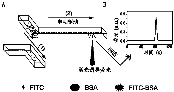 Micro-nanofluidic chip and method for achieving rapid fluorescent labeling of proteins