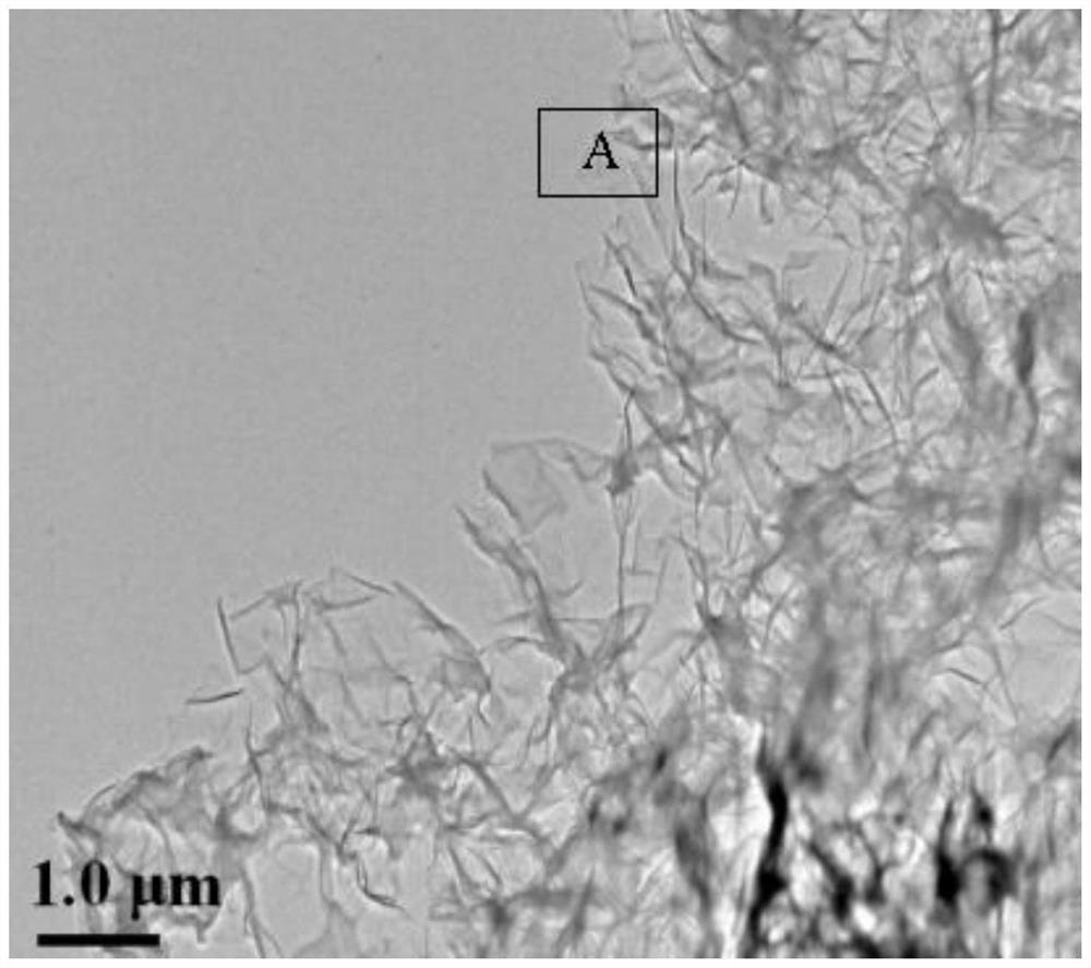 Application of a 3D Hierarchical Porous Graphene/Polypyrrole Composite Material