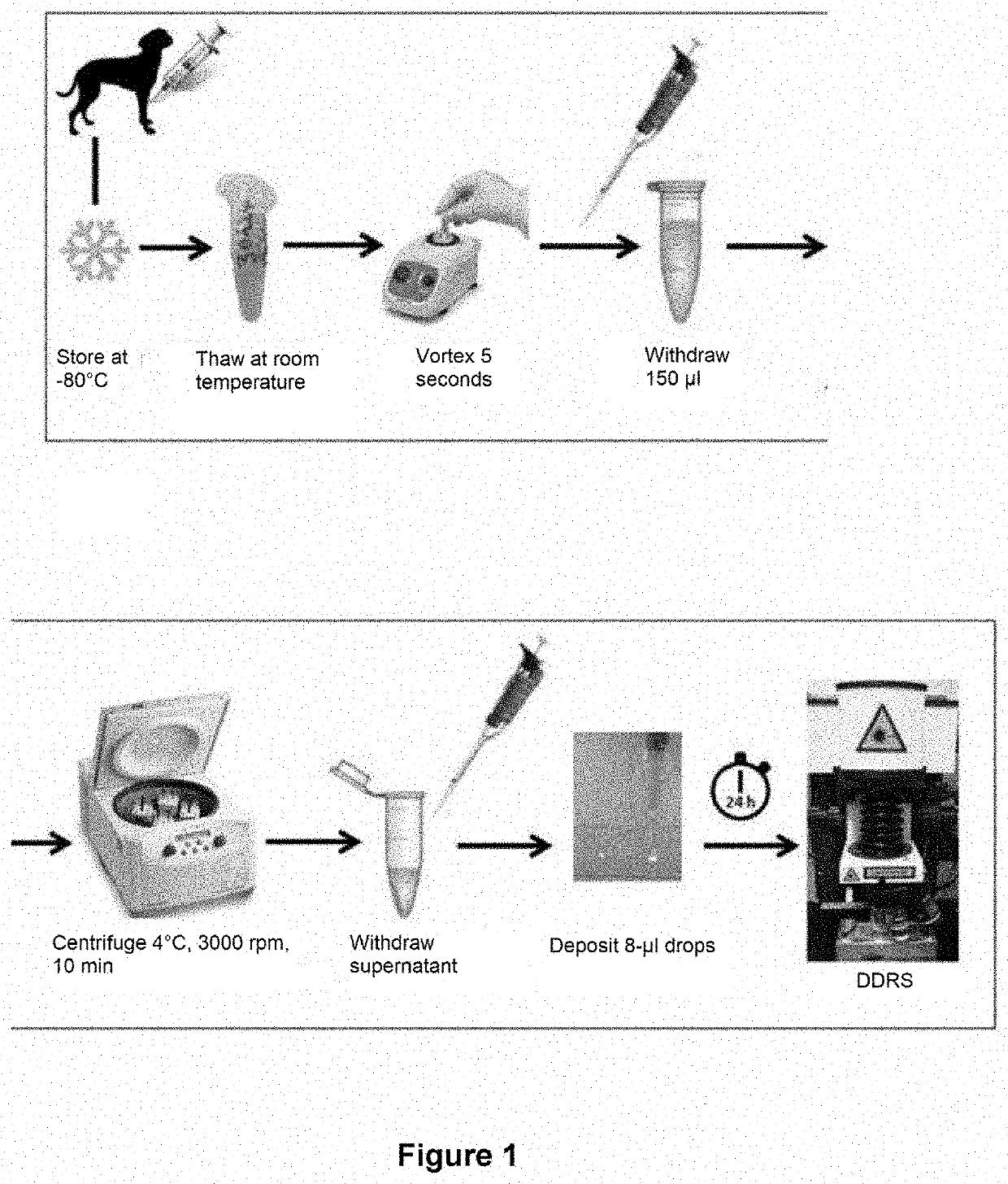 Method for detecting joint diseases