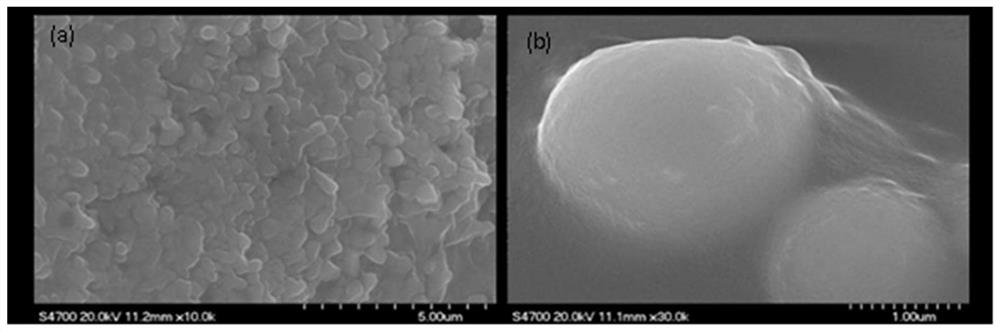 Super-amphiphobic coating on surface of heat exchange tube, preparation technology of super-amphiphobic coating and application of super-amphiphobic coating to methanol-to-olefin device